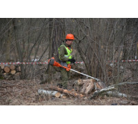 Чистка лесных участков